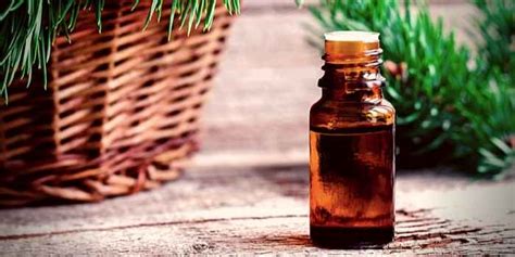 The Surprising Benefits About Pine Oil