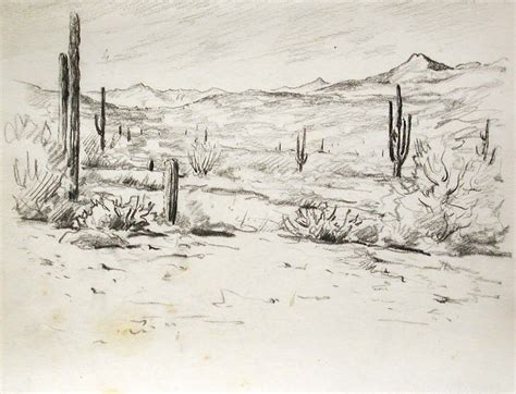 Desert Landscape Drawing at PaintingValley.com | Explore collection of ...