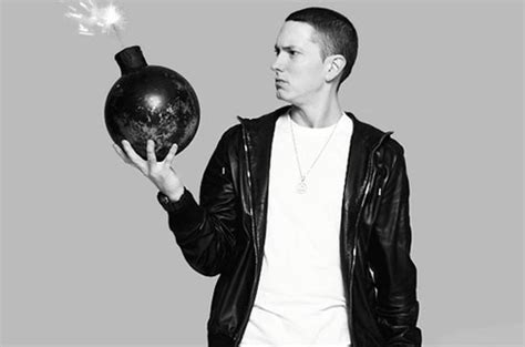 Berzerk eminem album - gaswbloom