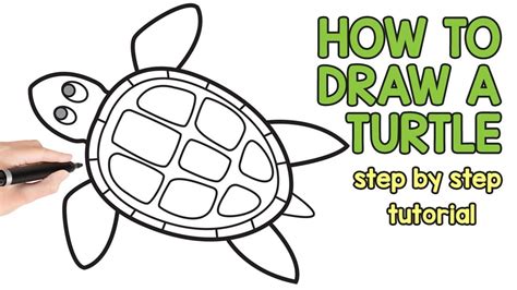 How to Draw a Turtle - Step by Step Drawing Tutorial - YouTube