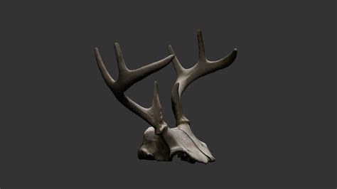 Deer Antlers (low res) - Download Free 3D model by DeeJayKaye [f4cc686 ...