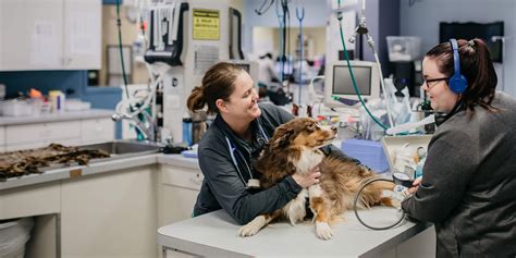 Home - Veterinary Specialty Center