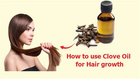 7 Ways How to use Clove Oil for Hair Growth and Hair Fall - Modern ...