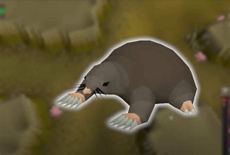 Giant Mole OSRS Guide [2022]: Go The Mole Nine Yards! - Rune Fanatics