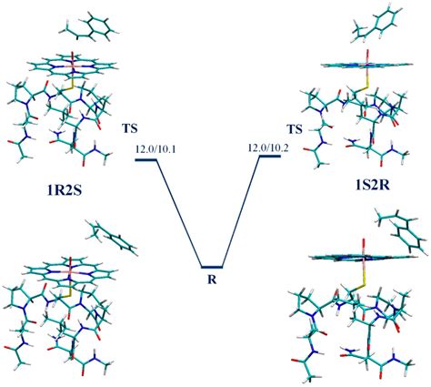 IJMS | Special Issue : Computational Modelling of Enzymatic Reaction ...