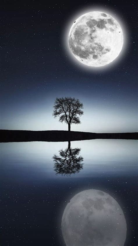 Tree with moon wallpaper background | Wallpaper backgrounds, Amazing ...