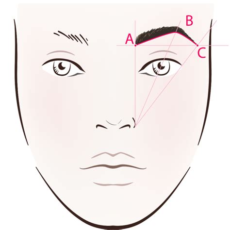 5 Step Eyebrow Tutorial for Beginners - The Beauty Maestra