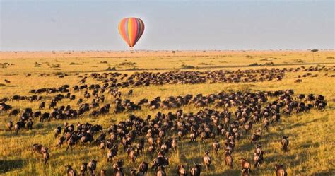 Maasai Mara Hot Balloon Safari | Maasai Mara National Reserve | Kenya