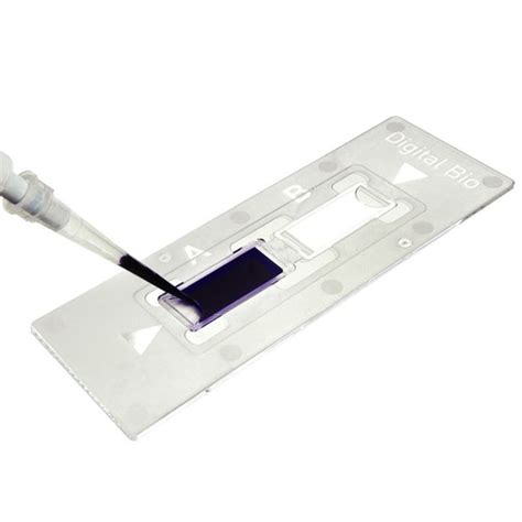 Chemglass Life Sciences Disposable Hemocytometer, C-Chip , 50/pk ...