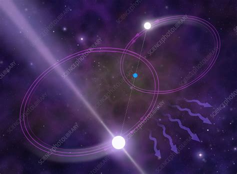 Binary pulsars - Stock Image - R750/0112 - Science Photo Library