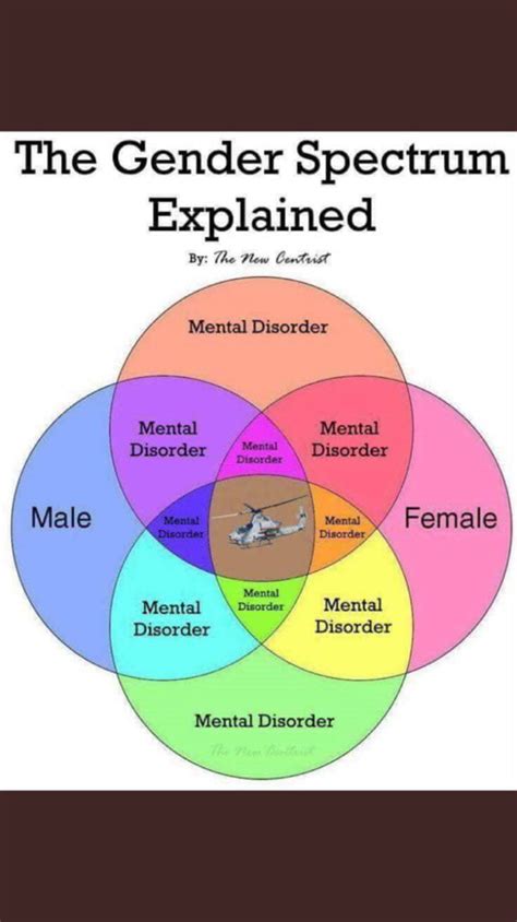 The Gender Spectrum Explained - 9GAG