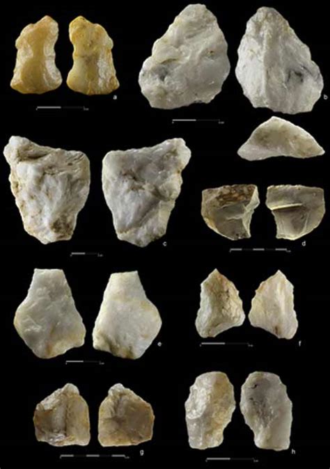 Large Cache of Stone Tools Used by Homo Erectus Unearthed in Sudan ...