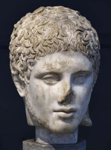 Head of Diomedes. Rome, Capitoline Museums, Centrale Montemartini ...