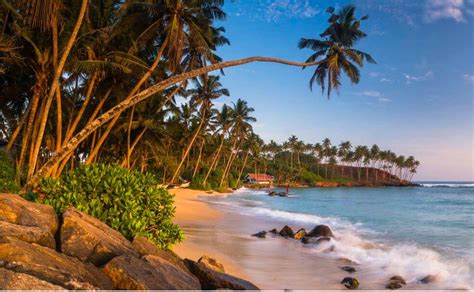 15 beaches in Sri Lanka that will make you go 'wow'!