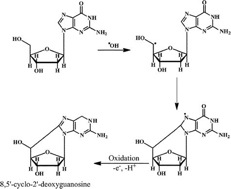 Free radicals, natural antioxidants, and their reaction mechanisms ...