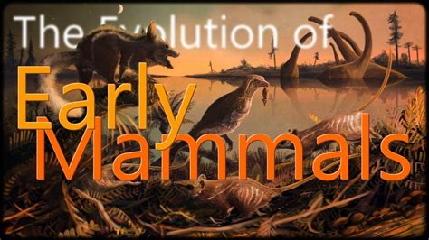 The Evolution of Early Mammals - YouTube