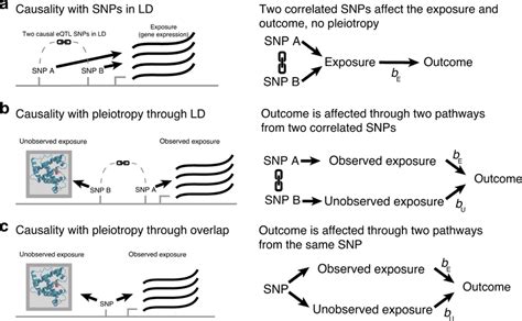 Typical scenarios of pleiotropy in causal inference of gene expression ...