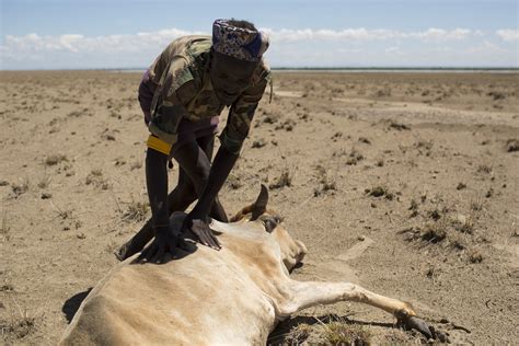 In Ethiopia, Drought Threatens to Overshadow Progress - Newsweek