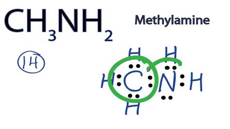 CH3NH2 Lewis Structure: How to Draw the Lewis Structure for CH3NH2 ...