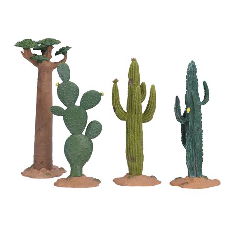 Desert Plants For Kids