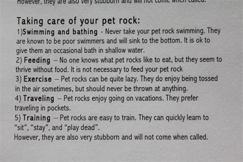 Printable Pet Rock Care Instructions