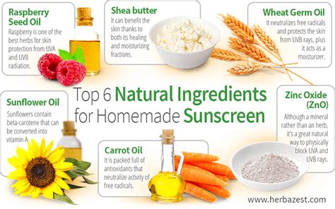 Top 6 Natural Ingredients for Homemade Sunscreen | HerbaZest