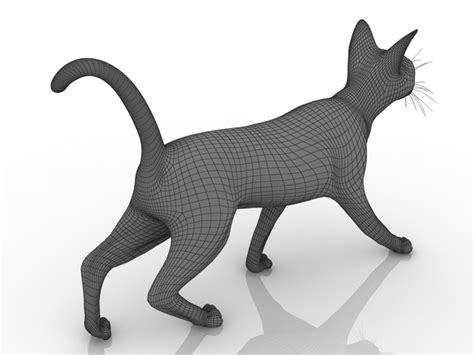 Cat 3D model - Download Free 3D models