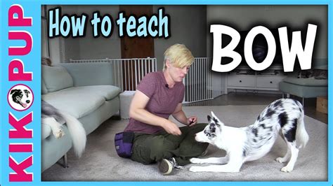 How to teach BOW - Dog Tricks tutorial - K9 Pie