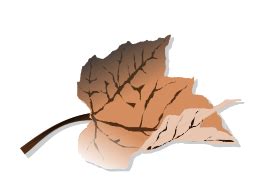 Brown leaf Vector for Free Download | FreeImages