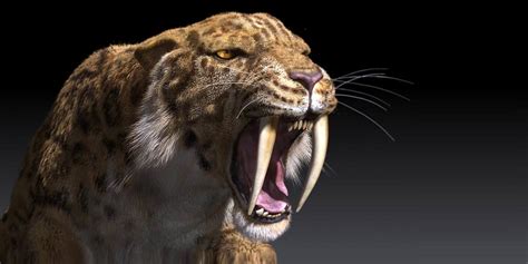 The saber-toothed tiger (Smilodon) | DinoAnimals.com