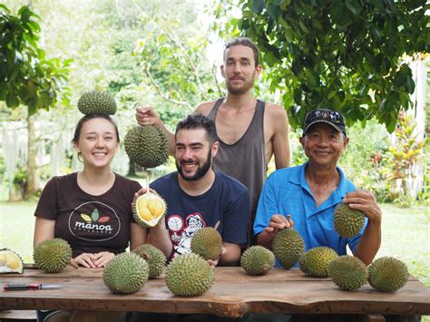 Durian Tours - Year of the Durian