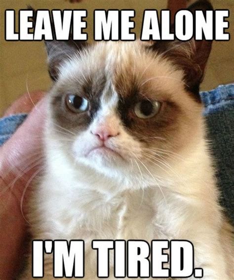 40 Truthful Memes About Being Tired | Inspirationfeed