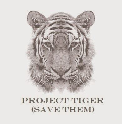 Home for Homeless - Project Tiger - Save Them: Project Tiger by Nishit ...