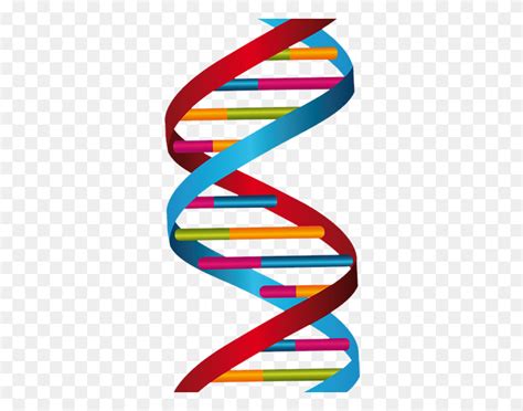 Dna Helix Clipart | Free download best Dna Helix Clipart on ClipArtMag.com