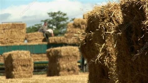 Hay Bales at Harvest - Stock Video Clip - K001/3198 - Science Photo Library