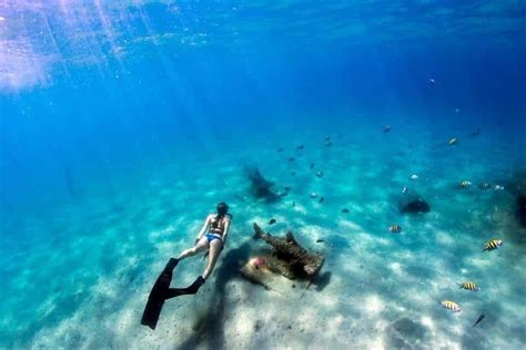 Best snorkeling in Florida without a boat