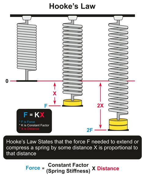 The Physics of Springs | How Manufacturers Understand Spring Design