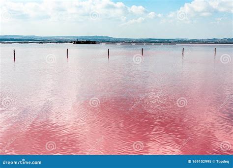 Torrevieja Pink Lake in Alicante, Spain Stock Image - Image of salt ...