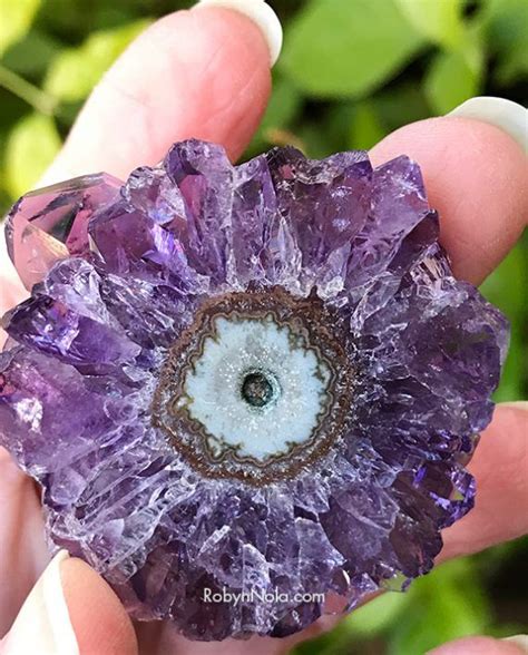 New! Large, Deep Purple Amethyst Flower | Robyn Nola Gifts | Crystals ...