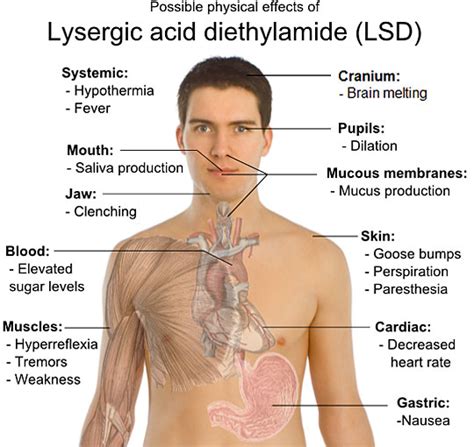 LSD Effects - Physical Psychological Sensory Spiritual