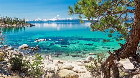 Clear water of Lake Tahoe, beach, stones, tree, california, mountains ...