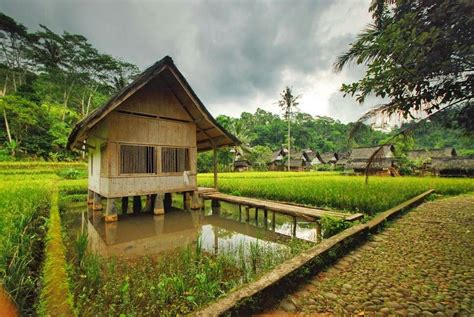 Rumah Kampung Jawa - Dekorasi Rumah