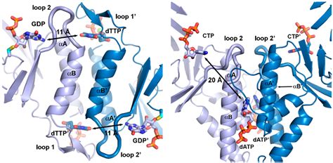 Life | Special Issue : The Origins and Early Evolution of RNA