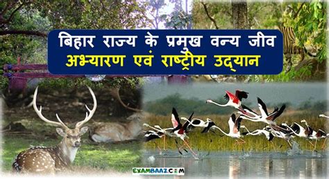 National Parks In Bihar | Wildlife sanctuary in Bihar | Bihar GK