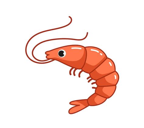 Clipart Of A Shrimp