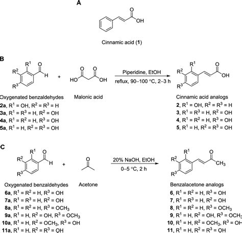 Structure of cinnamic acid (1) (A). Synthesis of cinnamic acid analogs ...