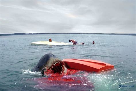 Jaws art by Federico Alain | Shark photos, Jaws film, Sharks funny