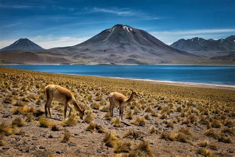 Everything You Need to Know About the Atacama Desert