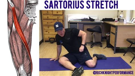 Sartorius Muscle Stretch - YouTube