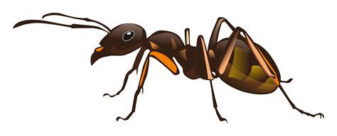 Clipart png ant, Clipart png ant Transparent FREE for download on ...